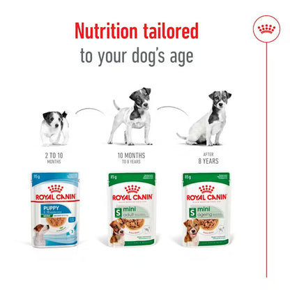 ROYAL CANIN Mini Ageing Chunks In Gravy - Влажный корм для пожилых собак мелких пород 12х85г