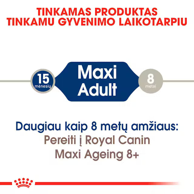 ROYAL CANIN Maxi Adult Chunks In Gravy - Wet Food for Large Adult Dogs 10x140g