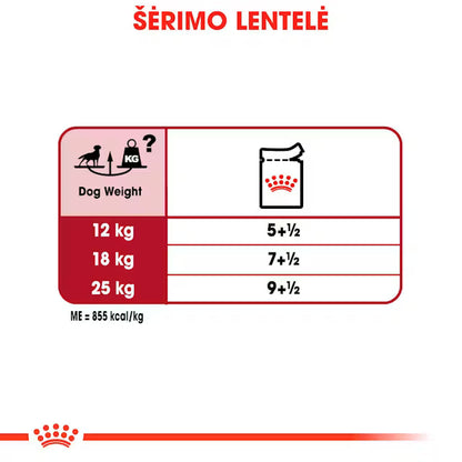 Royal Canin Medium Adult drėgnas pašaras - Vidutinių veislių suaugusiems šunims