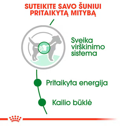 Royal Canin Size Health Nutrition Mini Adult Gravy 12x85g - Šlapias maistas su padažu suaugusiems mažų veislių šunims