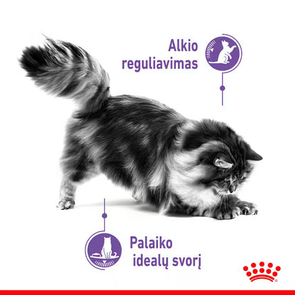 Royal Canin Feline Care Nutrition Appetitkontrolle 2 kg – Trockenfutter für ausgewachsene Katzen zur Appetitkontrolle