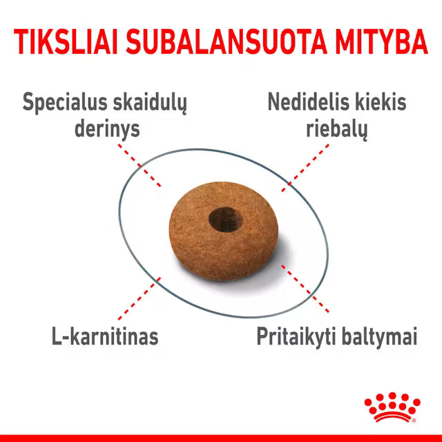 Royal Canin Feline Care Nutrition Appetitkontrolle 2 kg – Trockenfutter für ausgewachsene Katzen zur Appetitkontrolle