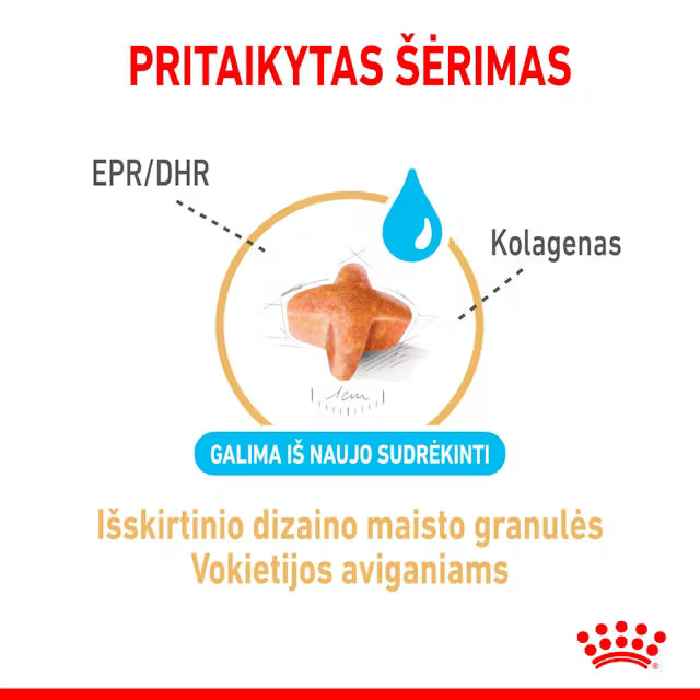 German Shepherd 5+ dry dog ​​food
