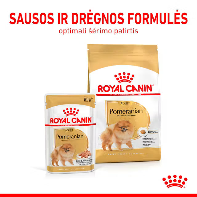 Pomeranian Adult dry dog ​​food