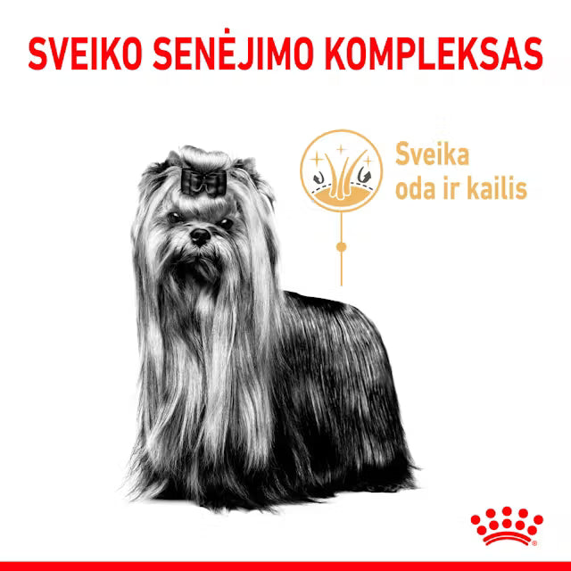 Royal Canin Yorkshire Terrier 8+ - Sausas pašaras šuniui