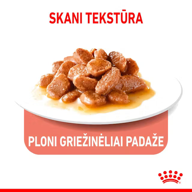 ROYAL CANIN APPETITE CONTROL CARE Gravy - Karma Mokra dla Dorosłych Kotów 12x85g