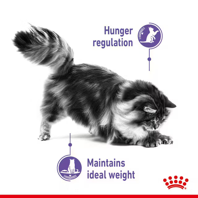 ROYAL CANIN Appetite Control Care Loaf - Влажный корм для кошек для контроля аппетита 12x85г
