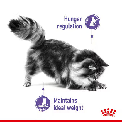 ROYAL CANIN Appetite Control Care Loaf - Влажный корм для кошек для контроля аппетита 12x85г