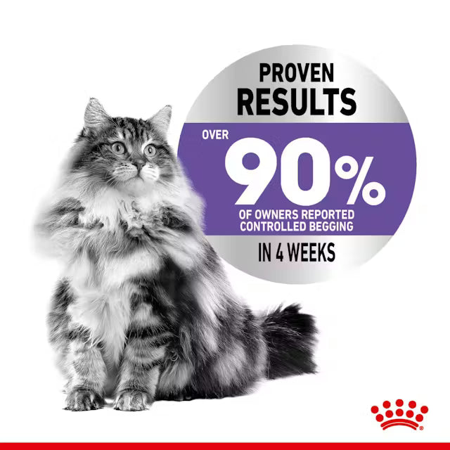 ROYAL CANIN Appetite Control Care Loaf - Влажный корм для кошек для контроля аппетита 12x85г