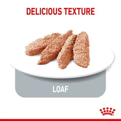 ROYAL CANIN Appetite Control Care Loaf - Влажный корм для кошек для контроля аппетита 12x85г