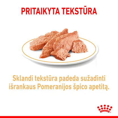 Royal Canin Pomeranian Loaf Wet Dog Food 12x85g