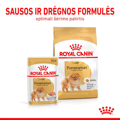 Royal Canin Pomeranian Loaf Wet Dog Food 12x85g