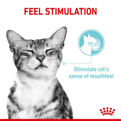 ROYAL CANIN Sensory Feel Kawałki w galaretce - Mokra karma dla dorosłych kotów 12x85g