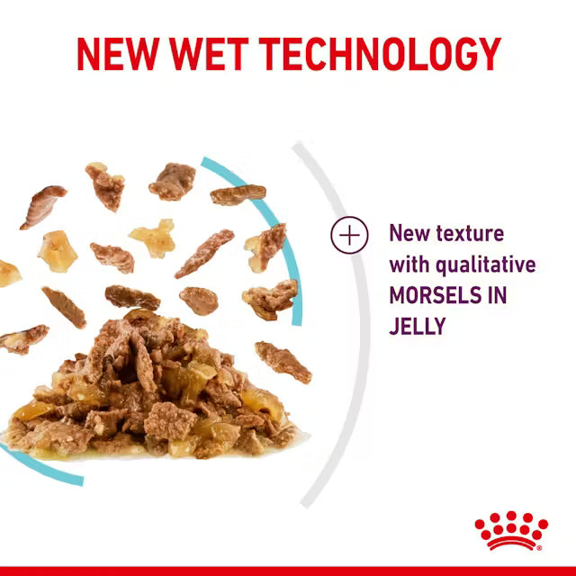 ROYAL CANIN Sensory Feel Kawałki w galaretce - Mokra karma dla dorosłych kotów 12x85g