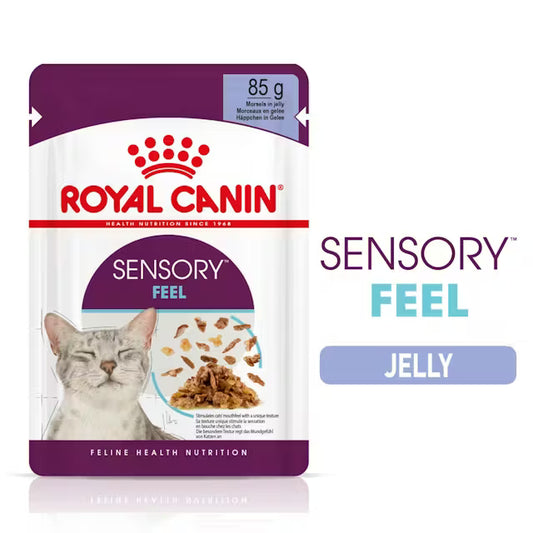 ROYAL CANIN Sensory Feel Kawałki w galaretce - Mokra karma dla dorosłych kotów 12x85g