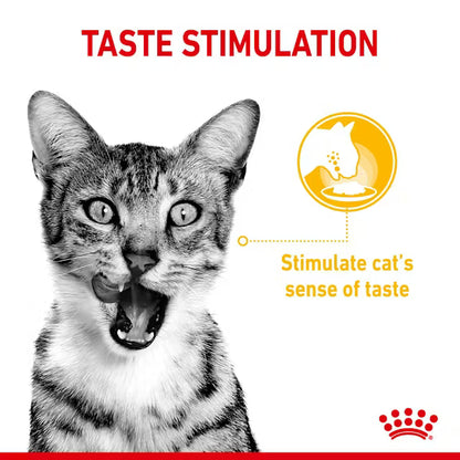 ROYAL CANIN Sensory Multi Chunks In Gravy – Mokra karma dla dorosłych kotów 12x85g