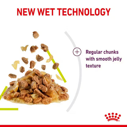 ROYAL CANIN Sensory Smell Kawałki w Galarecie - Karma Mokra dla Dorosłych Kotów 12x85g