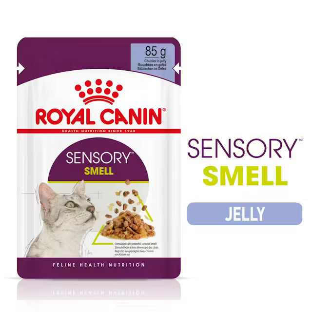 ROYAL CANIN Sensory Smell Kawałki w Galarecie - Karma Mokra dla Dorosłych Kotów 12x85g