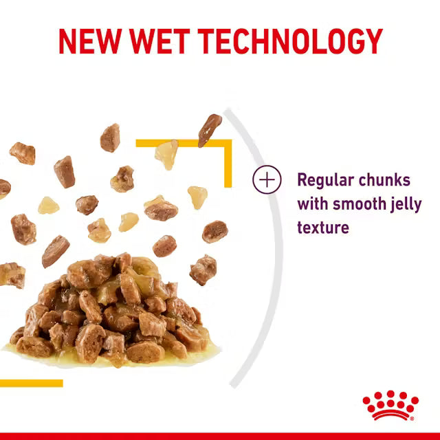 ROYAL CANIN Sensory Taste Kawałki w galaretce - Mokra karma dla dorosłych kotów 12x85g