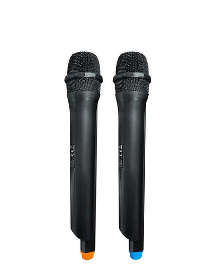 Blaupunkt PB06DB | 500 W galia, karaoke su 2 belaidžiais mikrofonais, LED šviesos