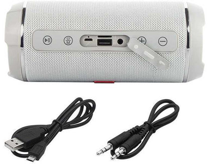 Blow BT460 | Belaidė kolonėlė su FM radiju, USB ir Bluetooth, 20 W