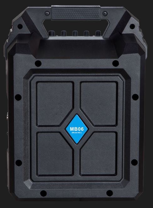 Blaupunkt MB06 | Belaidė kolonėlė su mikrofonu, karaokė, 500 W