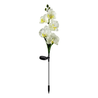 Phalaenopsis Orchidėjos Saulės Šviestuvas - Egzotiški Gėlių LED (2 vnt.)