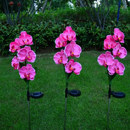 Phalaenopsis Orchidėjos Saulės Šviestuvas - Egzotiški Gėlių LED (2 vnt.)