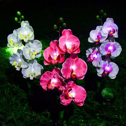 Phalaenopsis Orchidėjos Saulės Šviestuvas - Egzotiški Gėlių LED (2 vnt.)