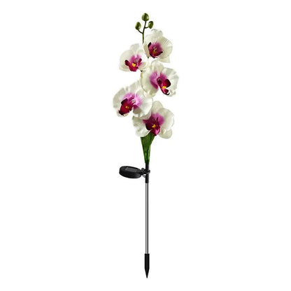 Phalaenopsis Orchidėjos Saulės Šviestuvas - Egzotiški Gėlių LED (2 vnt.)