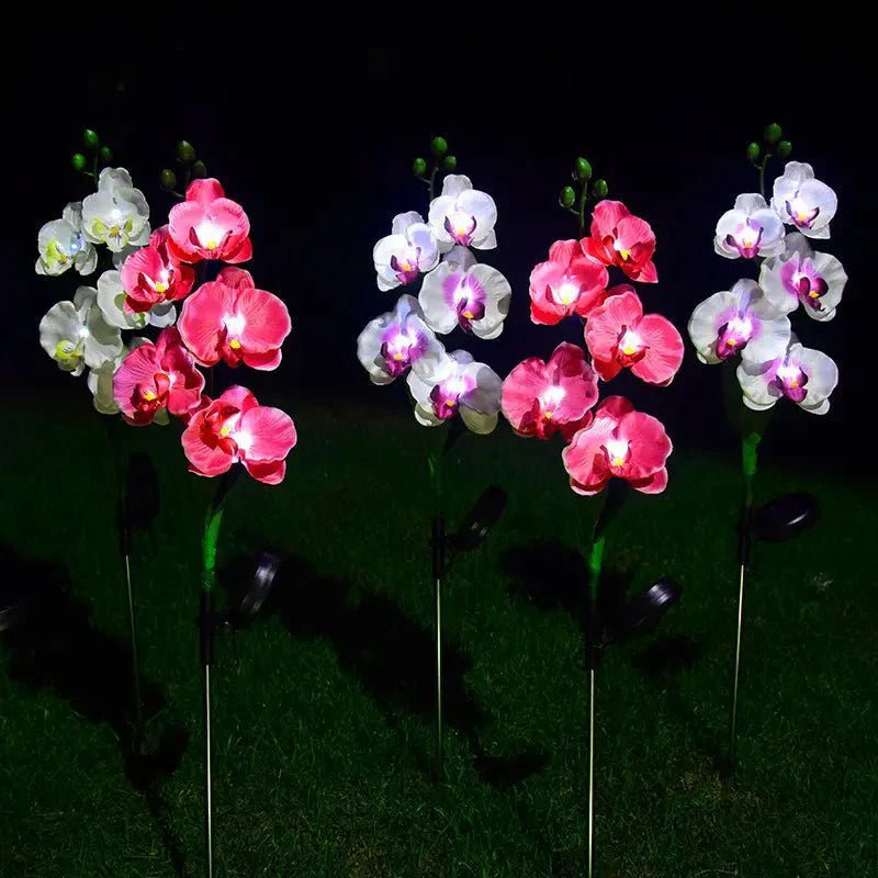 Phalaenopsis Orchidėjos Saulės Šviestuvas - Egzotiški Gėlių LED (2 vnt.)