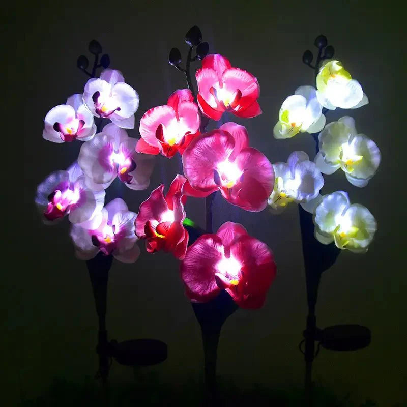 Phalaenopsis Orchidėjos Saulės Šviestuvas - Egzotiški Gėlių LED (2 vnt.)