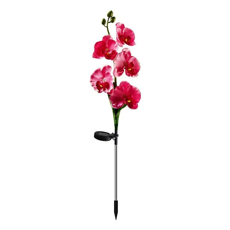 Phalaenopsis Orchidėjos Saulės Šviestuvas - Egzotiški Gėlių LED (2 vnt.)