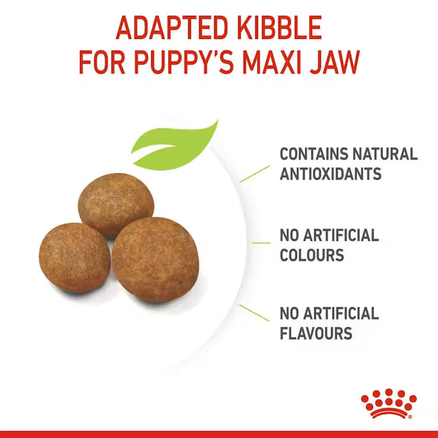 Royal Canin Maxi Puppy dry food - For large breed puppies
