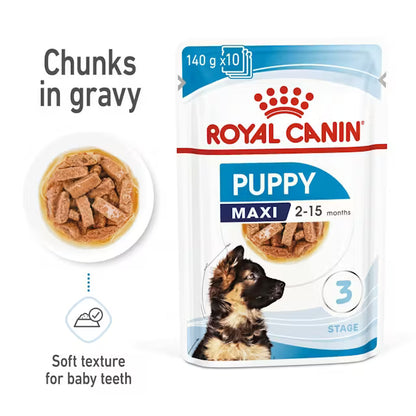 ROYAL CANIN Maxi Puppy Chunks In Gravy - Wet Food for Large Breed Puppies 10x140g