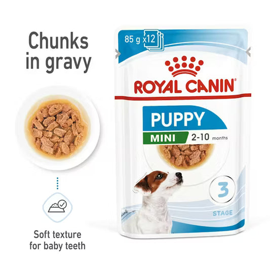 Royal Canin SHN Dog Mini Puppy Gravy 12x85 g - Drėgnas pašaras šuniui