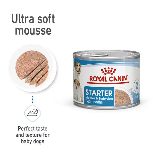 Royal Canin Starter Mother & Babydog - Ultra Soft Mousse - Drėgnas pašaras šuniui