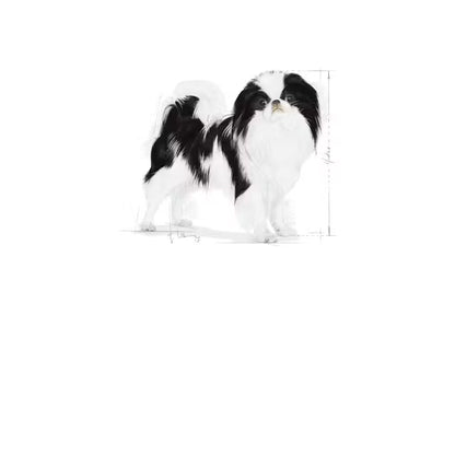 ROYAL CANIN X-Small Sterilised - Sausas Pašaras Kastruotiems Šunims